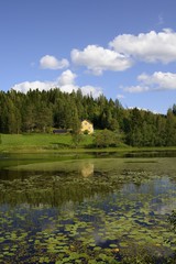 Fototapete bei efototapeten.de bestellen   