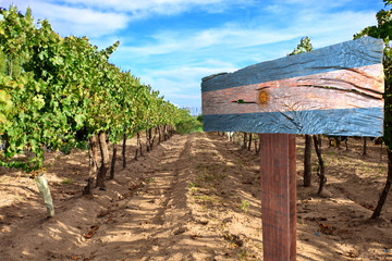 vineyard cabernet sauvignon from Argentina