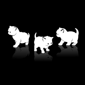 White Cats Silhouettes Icons on Black Background. Vector