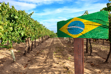 vineyard cabernet sauvignon from Brazil