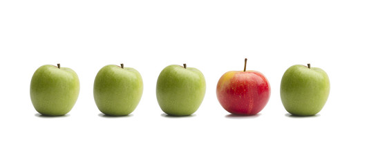 apples in a line on white