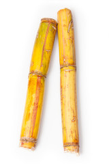 Sugarcane isolated on a white studio background.