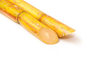 Sugar cane isolated on a white studio background.