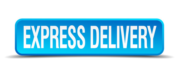 express delivery blue 3d realistic square isolated button