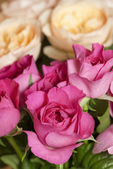 イングリッシュローズ