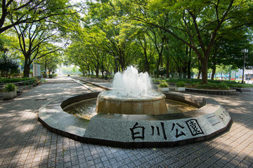 Naklejka premium 白川公園