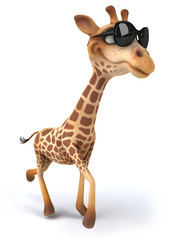 Fototapeta premium Fun giraffe