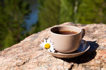 Cup on big stone over nature background