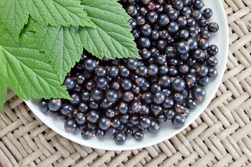 black currant, ripe berries and green leaves