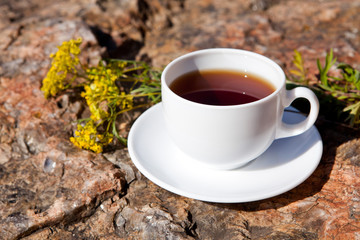 Cup on big stone