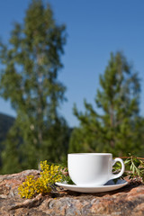 Cup on big stone over nature background