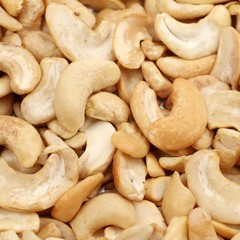 cashews group square format