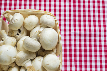 Champignons