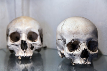 Human skulls