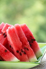 Slices of watermelon