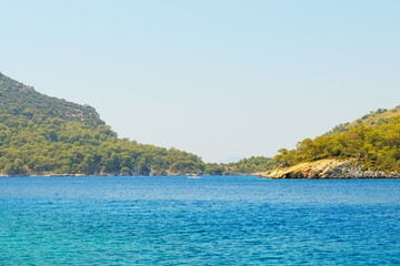 Fototapeta premium Landscape