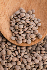 Dry Organic Brown Lentils