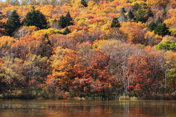 戸隠高原　紅葉の小鳥ヶ池