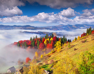 Colorful autumn morning in the Carpathian mountains.