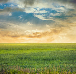 fields, fantasy background