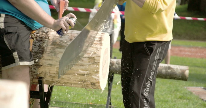 Two men are trying to cut the big log with the saw