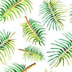 Vector watercolor palm tree leaf background