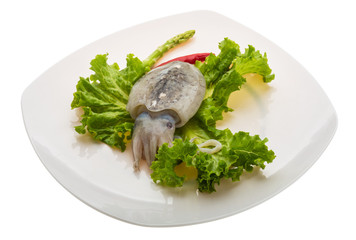 Raw cuttlefish