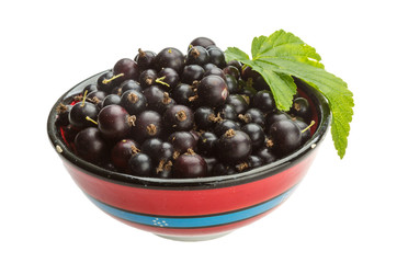 Black currant