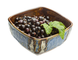 Black currant