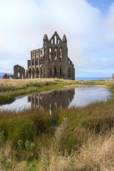 Obraz premium Whitby England next to pond with reflection in the water