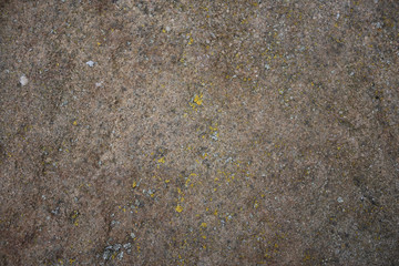 Rough gray rock background texture