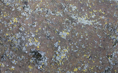 Rough gray rock background texture