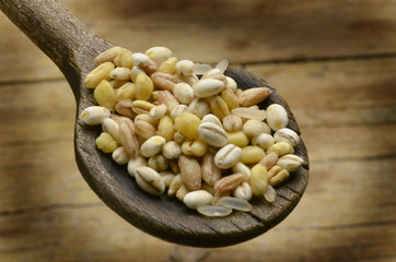 Wheat spelled barley rice oats Weizen gerste dinkel hafer reis