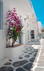 Traditional greek alley on Mykonos island, Greece - 69908533