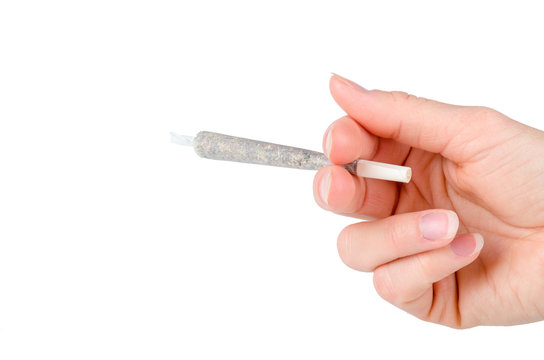 Womans hand holding marijuana joint isolated on white