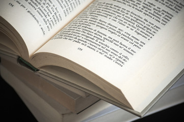 Fototapeta premium libro