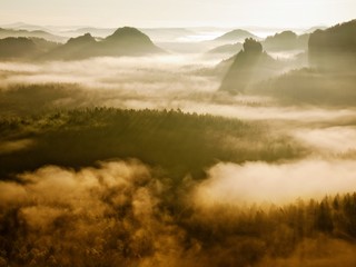 Magical daybreak in autumn misty landscape.