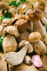 Porcini mushrooms
