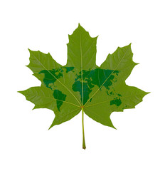 world map on a maple leaf