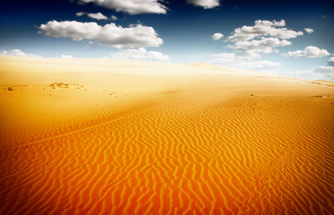Fototapeta na wymiar Sand dunest in the Sahara Desert