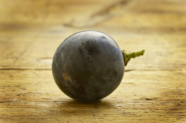 Traubenlese Vendemmia Harvest ( wine ) Vendange Vendimia