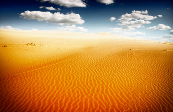 Sand dunest in the Sahara Desert