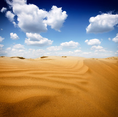 Sand dunest in the Sahara Desert