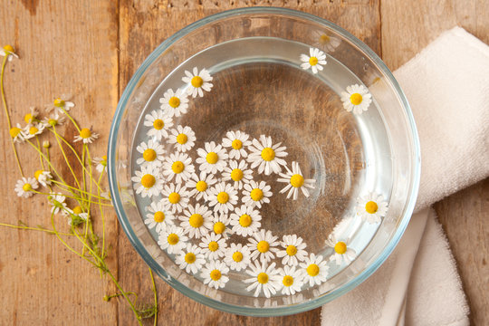 camomiles in bowl of water