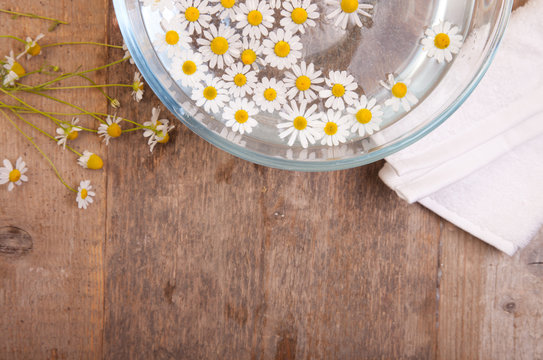camomiles in bowl of water