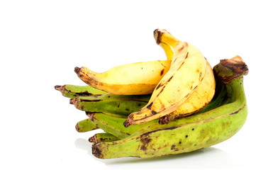 Plantain