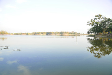 Beautiful scenic swamp landscape