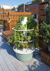 Roof garden with planter