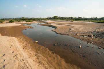Sand dunes of Khong river and water plant.
