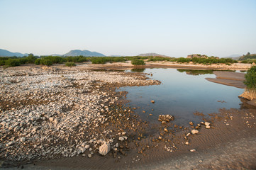 Sand dunes of Khong river and water plant.